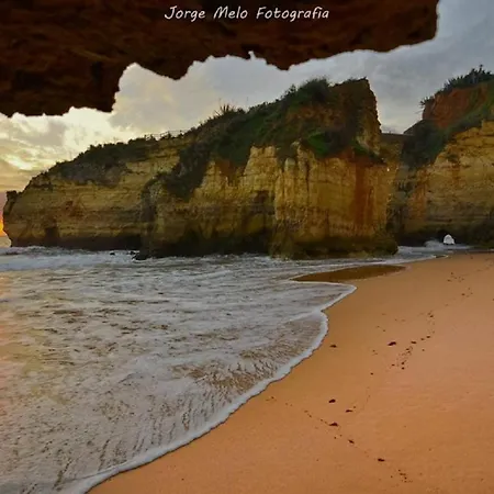 Daire Marina Park 1002 *